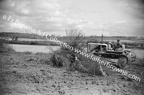 BULLDOZER  CLEARING SCRUB AND TREES